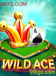 Explorando o Mundo de WildAce: Um Guia Completo